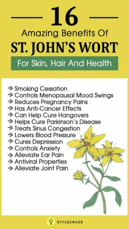 What are the benefits of St. John&#8217;s Wort? &#8211; Happiness and health