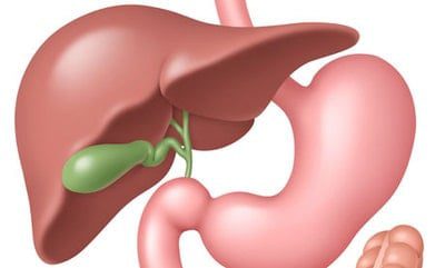 What are the symptoms of gallbladder disease? &#8211; Happiness and health