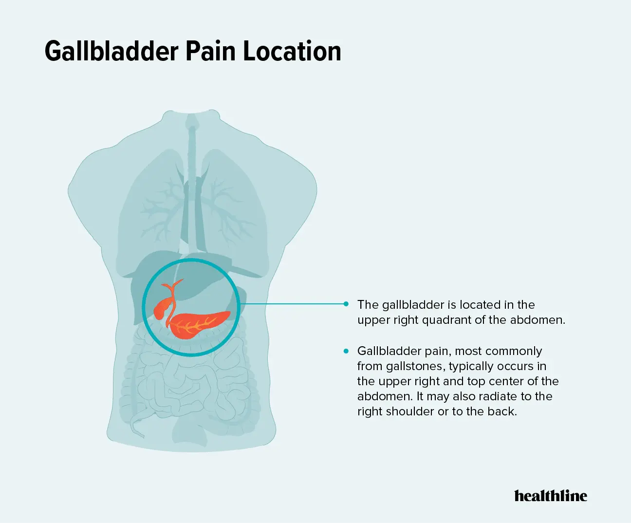 What are the symptoms of gallbladder disease? &#8211; Happiness and health