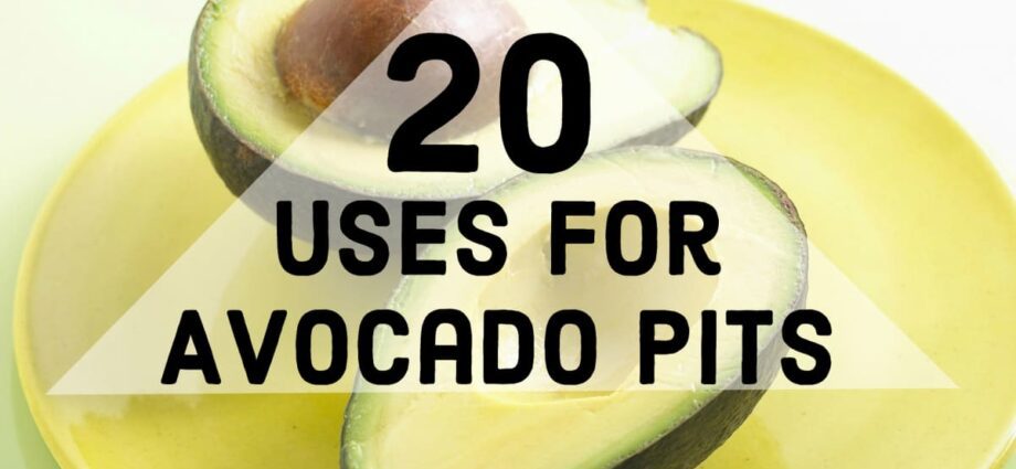 What can the avocado pit be used for? 7 surprising uses &#8211; Happiness and health