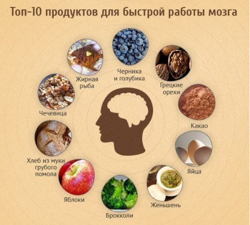 What foods are good for the brain: tips, video