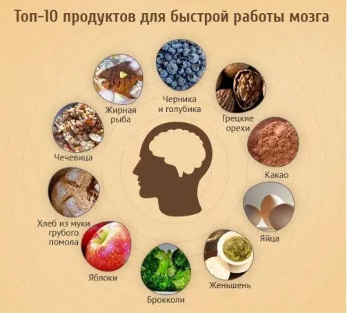 What foods are good for the brain: tips, video