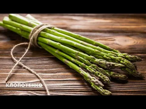What is asparagus and how is it useful, how to cook and store