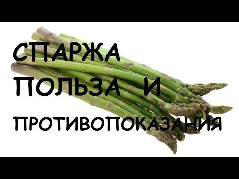 What is asparagus and how is it useful, how to cook and store