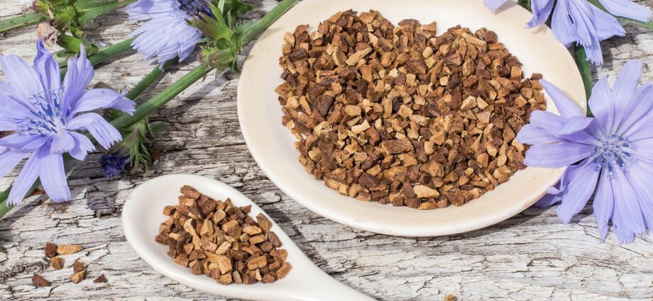 What is chicory and how is it good for the body