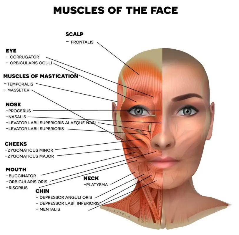 What is face taping: benefits and contraindications
