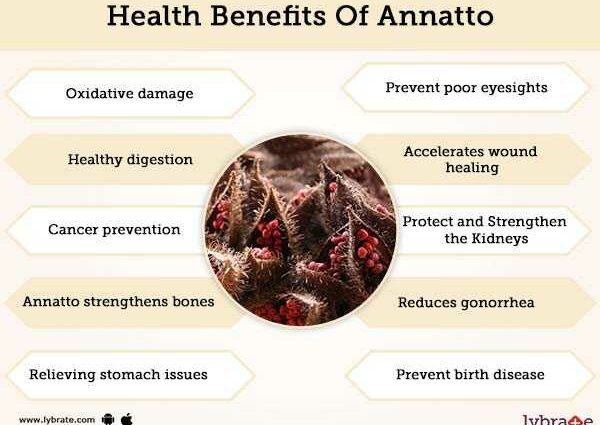 what is it, calorie benefits and harm to the body