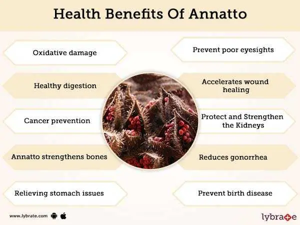 what is it, calorie benefits and harm to the body