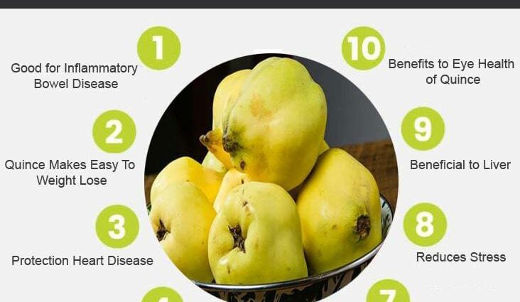 What is quince: health benefits and harms, video