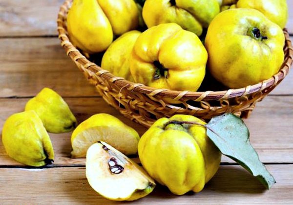 What is quince: health benefits and harms, video