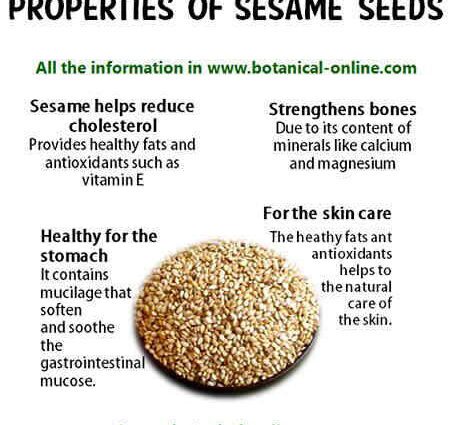 What is sesame: properties, application of seeds and oil