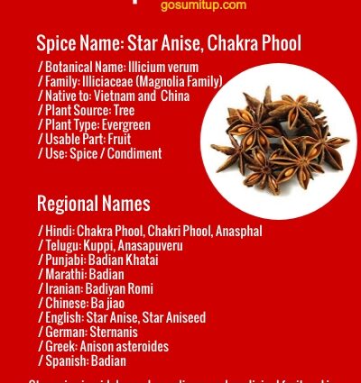 What is star anise: composition, properties and application