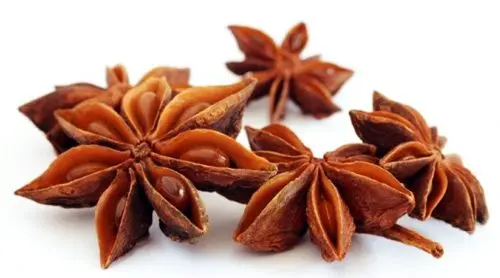 What is star anise: composition, properties and application