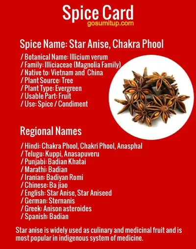 What is star anise: composition, properties and application