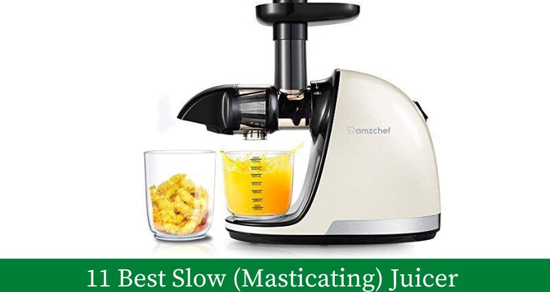 What is the best horizontal juice extractor? &#8211; Happiness and health