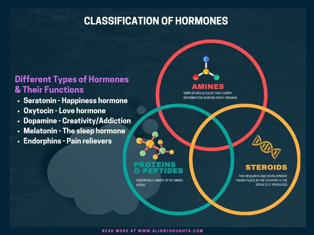 What is the sleep hormone? &#8211; Happiness and health