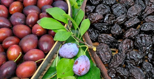 what kind of fruit is it, medicinal properties and calorie content