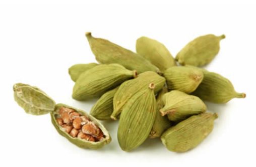 Why cardamom is useful: the healing properties of seeds and oils