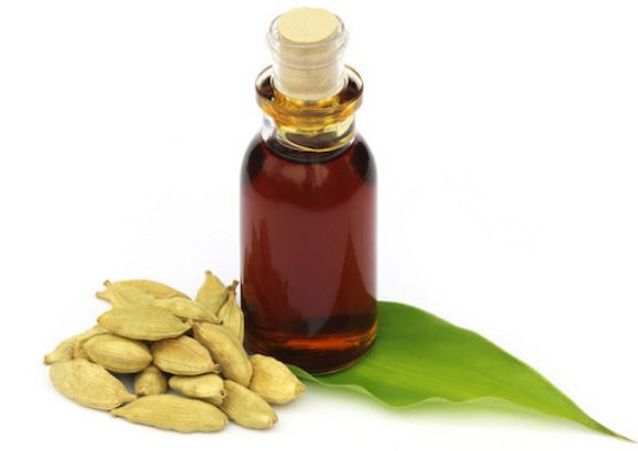 Why cardamom is useful: the healing properties of seeds and oils