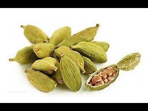 Why cardamom is useful: the healing properties of seeds and oils