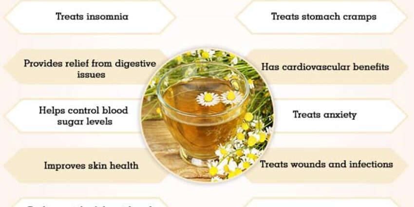 Why is chamomile tea useful: medicinal properties, application