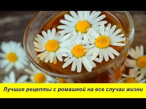 Why is chamomile tea useful: medicinal properties, application