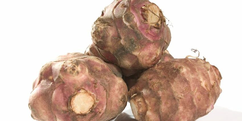 Why Jerusalem artichoke is useful for the human body