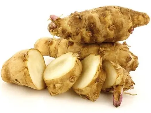 Why Jerusalem artichoke is useful for the human body