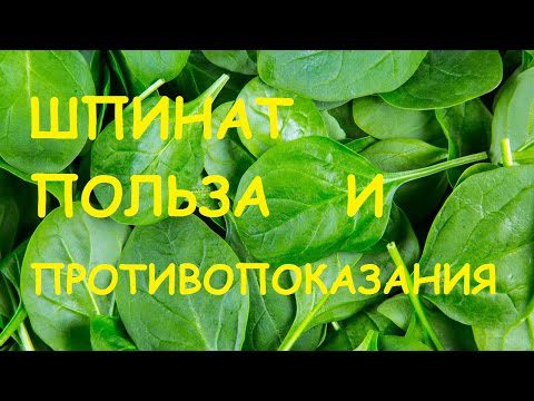 Why spinach is useful for the human body, facts, video