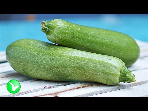 Zucchini: health benefits and harms &#8211; you need to know