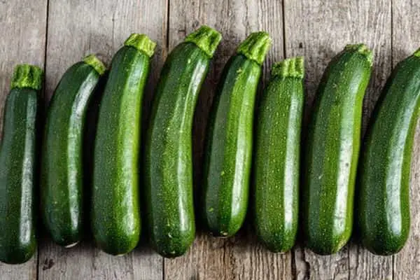 Zucchini: health benefits and harms &#8211; you need to know