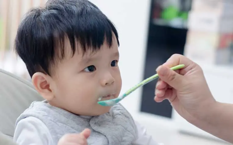 15 questions about feeding children 1-3 years old