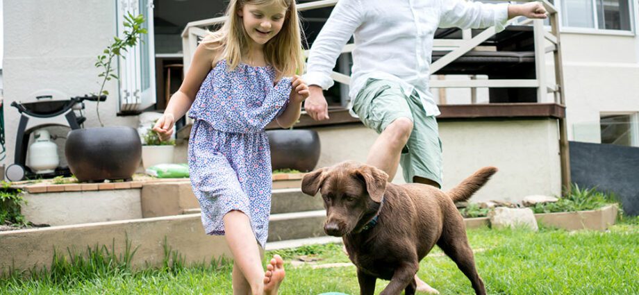 Nesreće sa psima: preventivne mjere za djecu