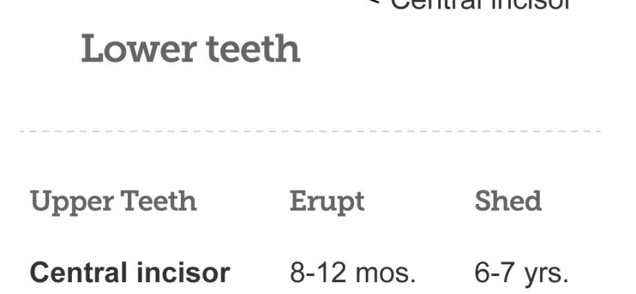 All about baby teeth and teething