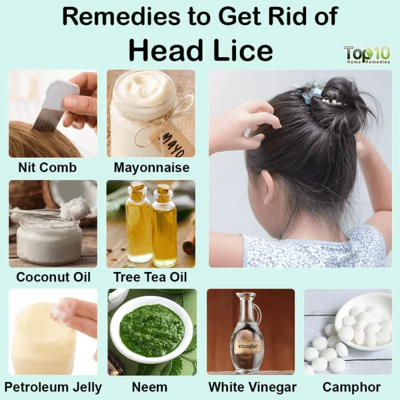 Anti-lice remedies