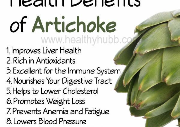 Artichoke: all its nutritional benefits