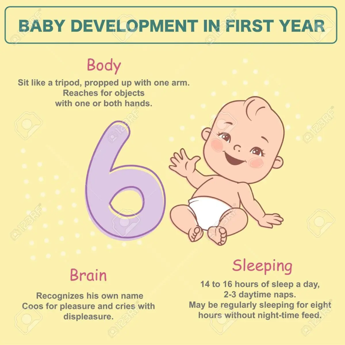 Baby development from birth to 6 months