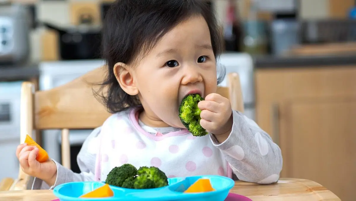 Baby feeding at 12 months: meals like the grown-ups!