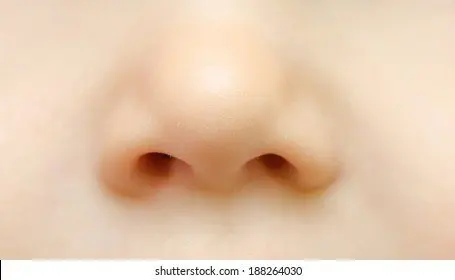 Baby nose