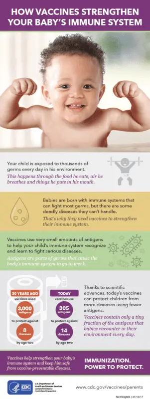 Baby&#8217;s immune system