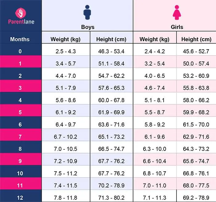 Baby&#8217;s weight month by month