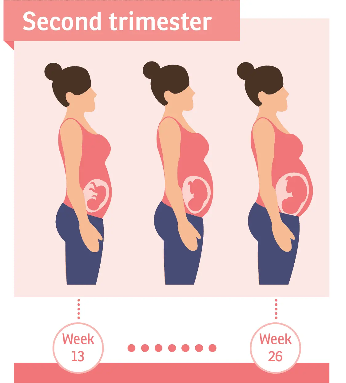 Becoming a mother &#8211; second trimester