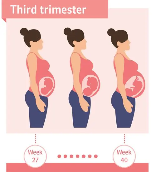 Becoming a mother &#8211; third trimester