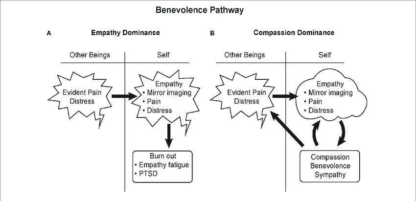 Benevolent education acts on the brain