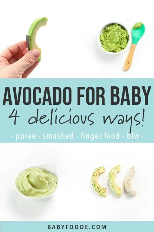 Can we give baby avocado? 