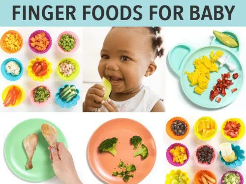 Childhood Foods: Safely Covering Baby&#8217;s Needs