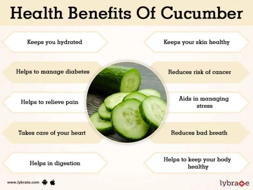 Cucumber: all the nutritional benefits for the family