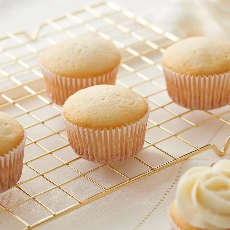 Cupcake Recipes