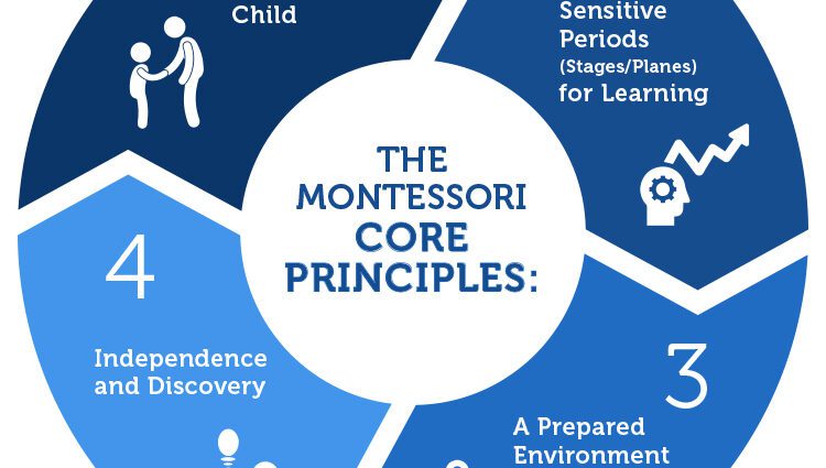 Education and the Montessori method: how to apply it at home?