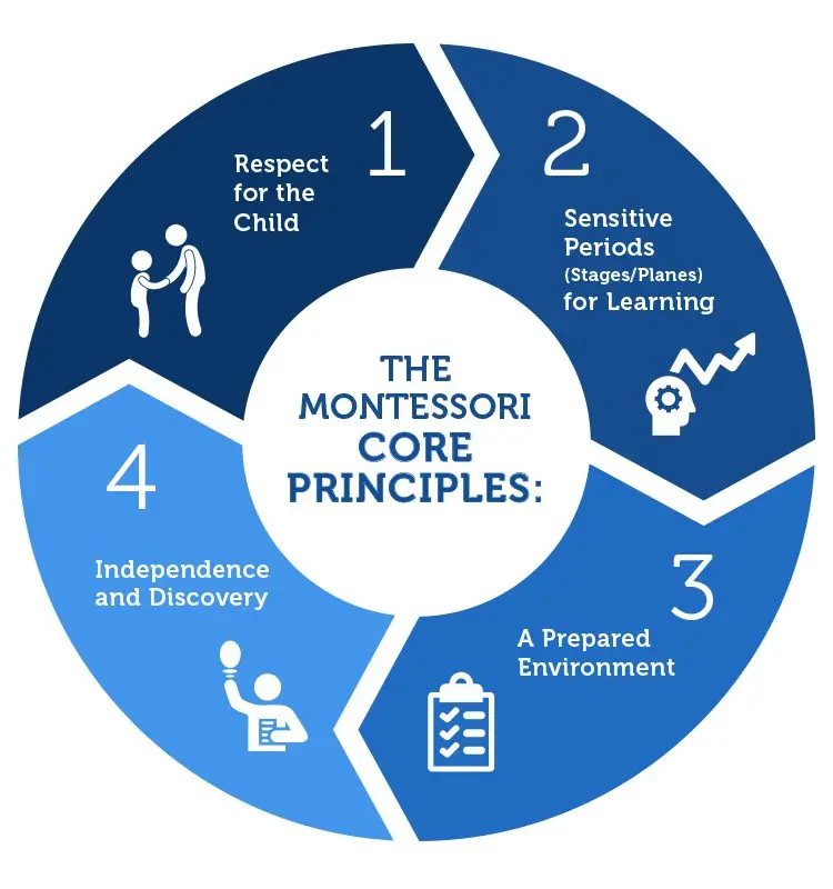 Education and the Montessori method: how to apply it at home?